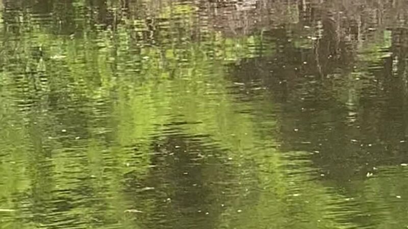 Delaware & Raritan Canal State Park Trail - Colonial Park - Somerset, NJ