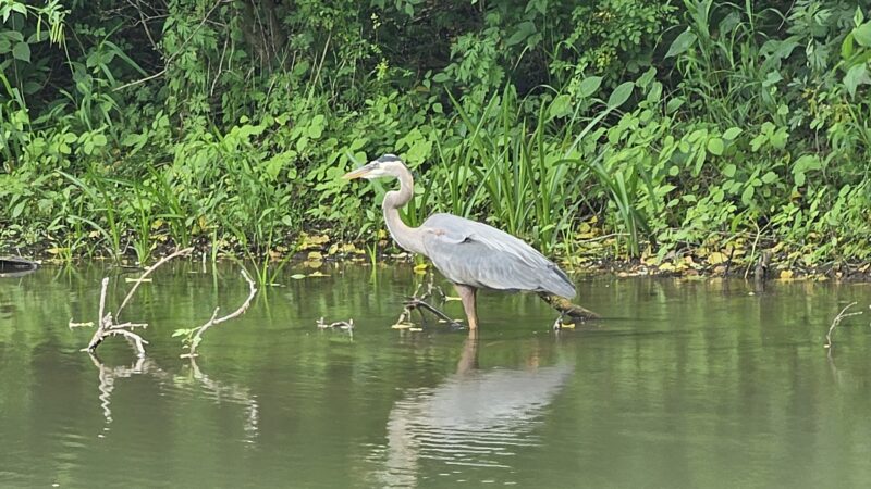 Delaware & Raritan Canal State Park Trail - Colonial Park - Somerset, NJ