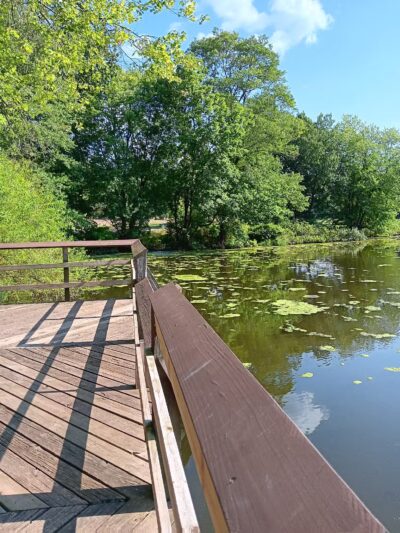 Quail Brook Park Ballfield - Somerset, NJ