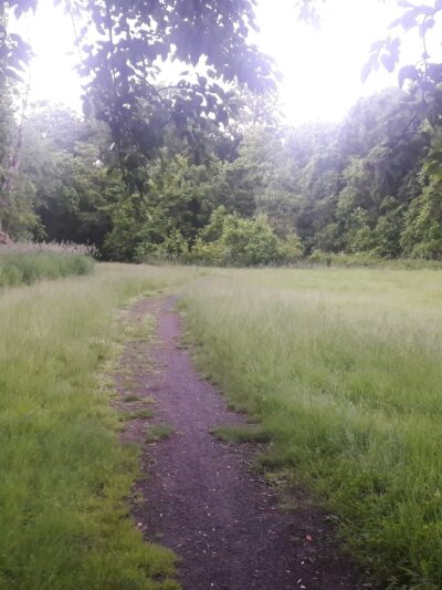Arthur Chambres Park - Somerville, NJ