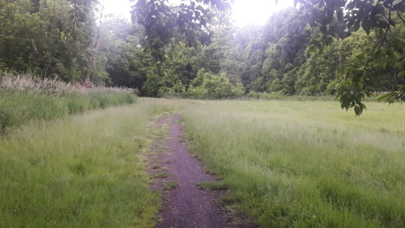 Arthur Chambres Park - Somerville, NJ