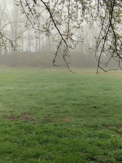 Arthur Chambres Park - Somerville, NJ