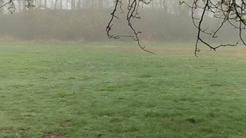 Arthur Chambres Park - Somerville, NJ