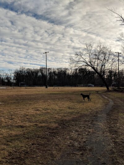 Arthur Chambres Park - Somerville, NJ