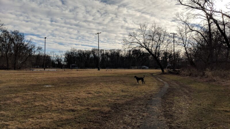 Arthur Chambres Park - Somerville, NJ