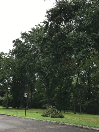 Walck Park - Somerville, NJ