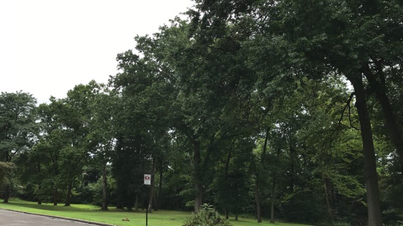 Walck Park - Somerville, NJ