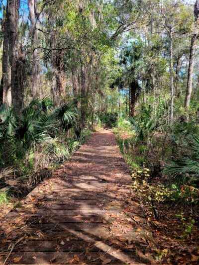 Florida Trail Bear Pond Trailhead - Sorrento, FL