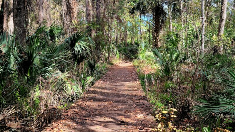 Florida Trail Bear Pond Trailhead - Sorrento, FL