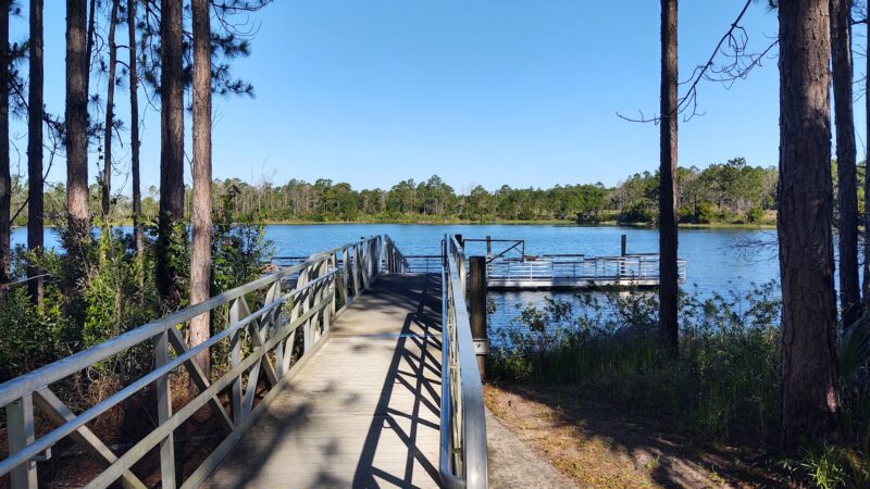 Florida Trail Bear Pond Trailhead - Sorrento, FL