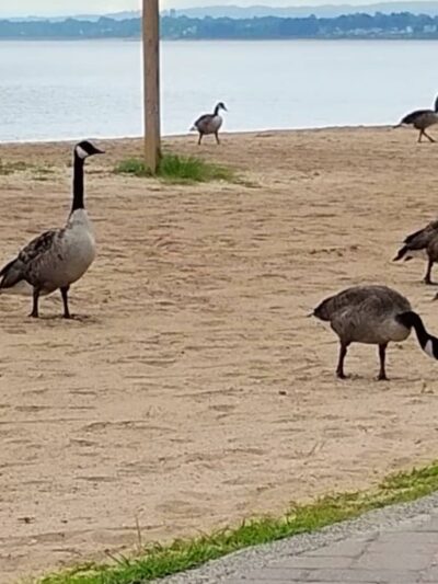 South Amboy Beach Parking Lot - South Amboy, NJ