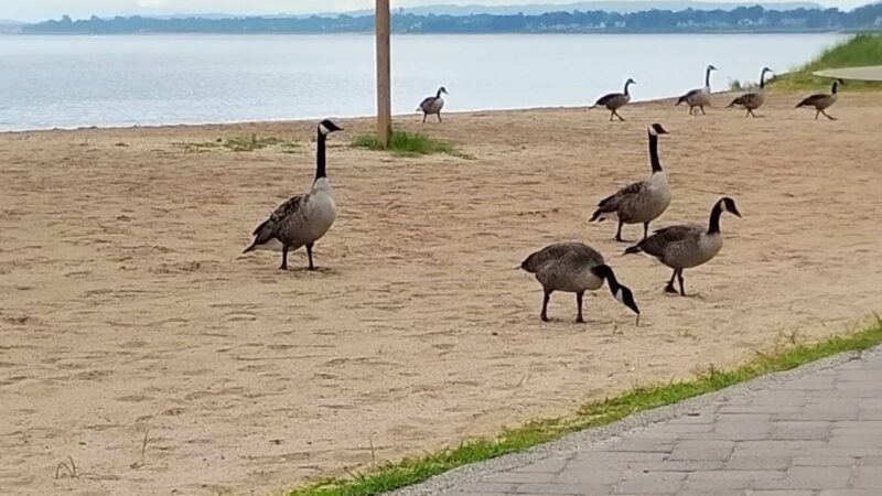 South Amboy Beach Parking Lot - South Amboy, NJ