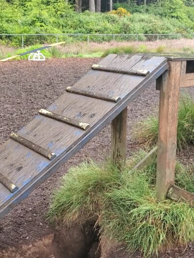 Wilder Dog Park - South Beach, OR