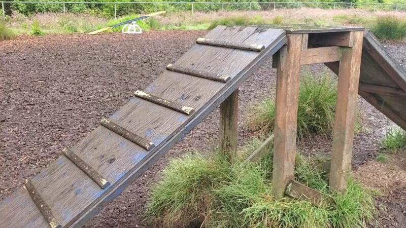 Wilder Dog Park - South Beach, OR