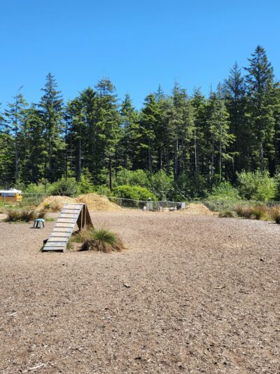 Wilder Dog Park - South Beach, OR