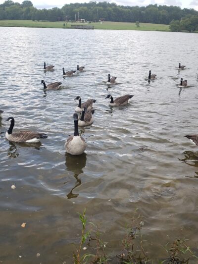 Paul C. Edmunds Park - South Boston, VA