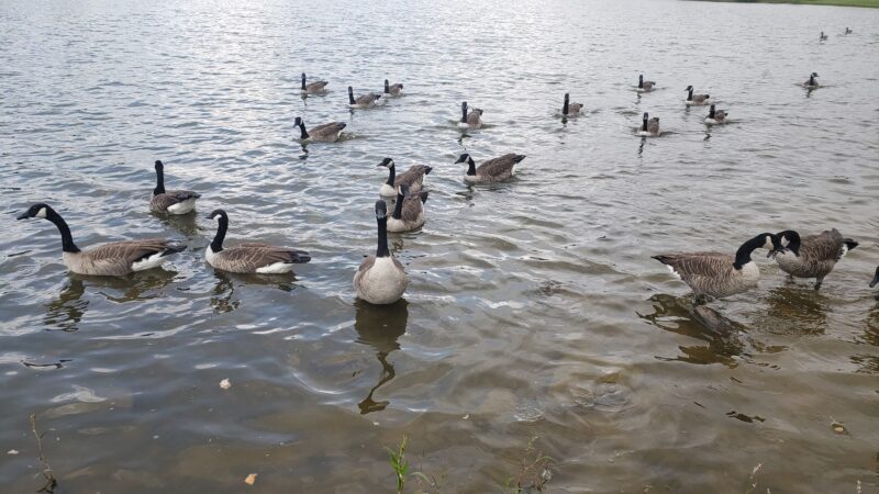 Paul C. Edmunds Park - South Boston, VA