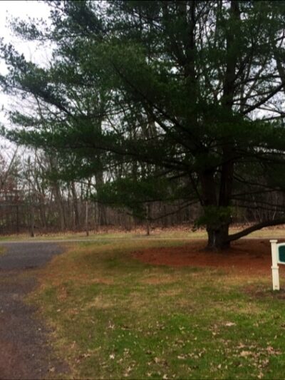 D&R Canal Parking Lot - Lock 11 - South Bound Brook, NJ