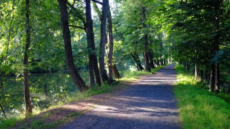 Five Mile Lock - D&R Canal State Park Trail - South Bound Brook, NJ