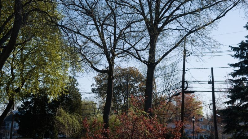 Memorial Park - South Bound Brook, NJ