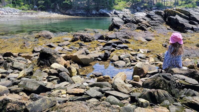 Sand Cove Beach - South Bristol, ME