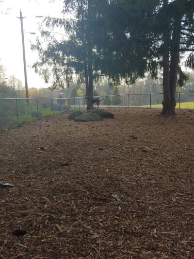 Joplin Park - South Charleston, WV