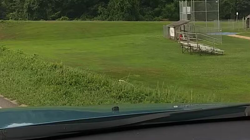 Herlihy Park - South Deerfield, MA