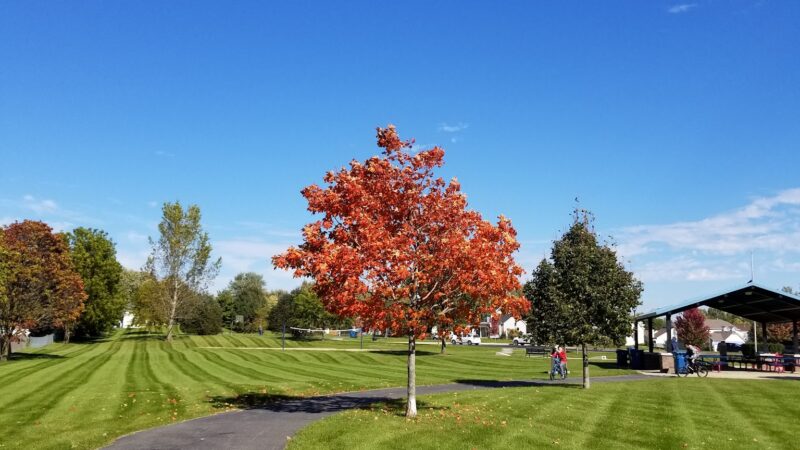 Jim Hansen Park - South Elgin, IL