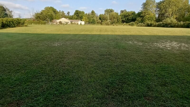 South Haven Dog Park - South Haven, MI