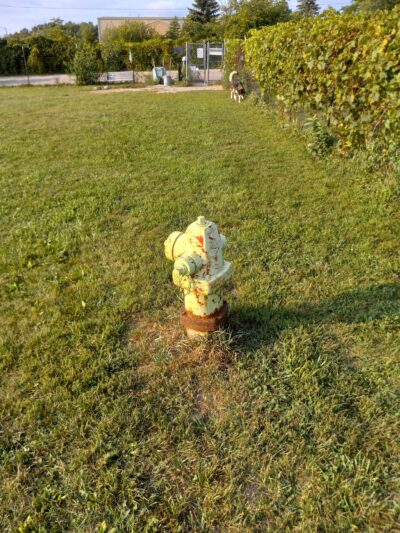 South Haven Dog Park - South Haven, MI