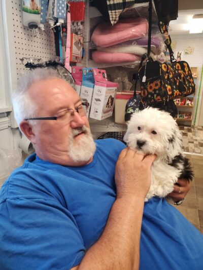 Mainely Puppies Plus - South Paris, ME