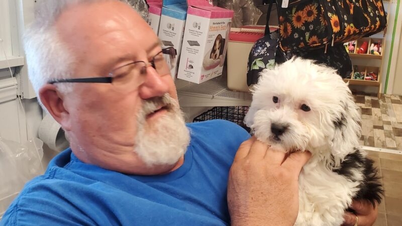 Mainely Puppies Plus - South Paris, ME