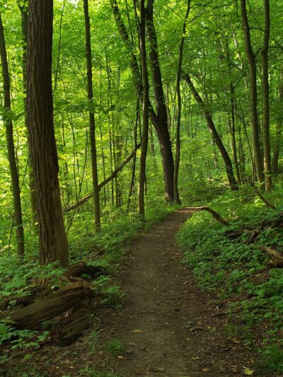 South Park - South Park Township, PA