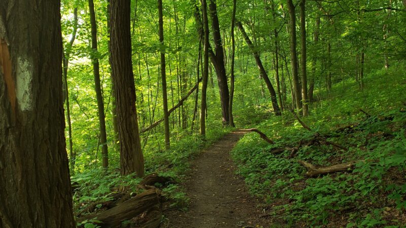 South Park - South Park Township, PA