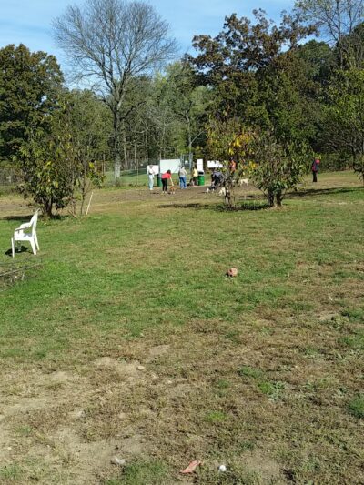 South Park Dog Park - South Park Township, PA