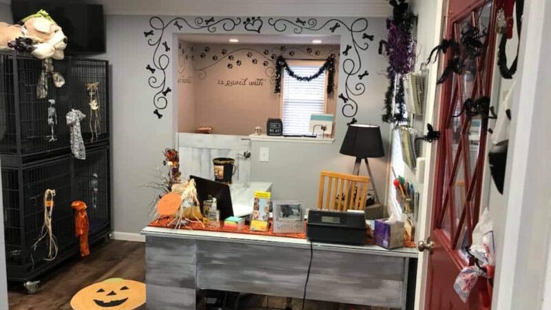 Country Inn(Coming Soon) And Barking Spa LLC - South River, NJ