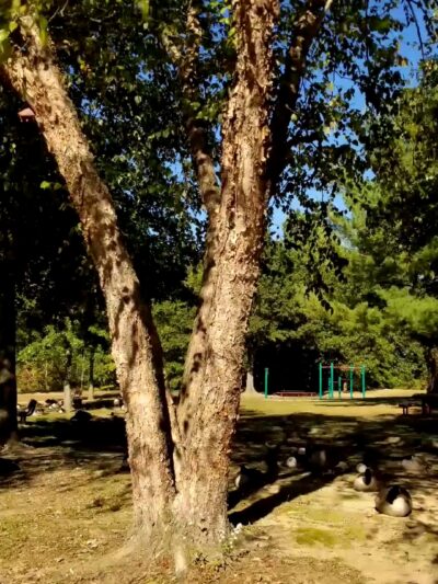 Edward A. Grekoski Park - South River, NJ