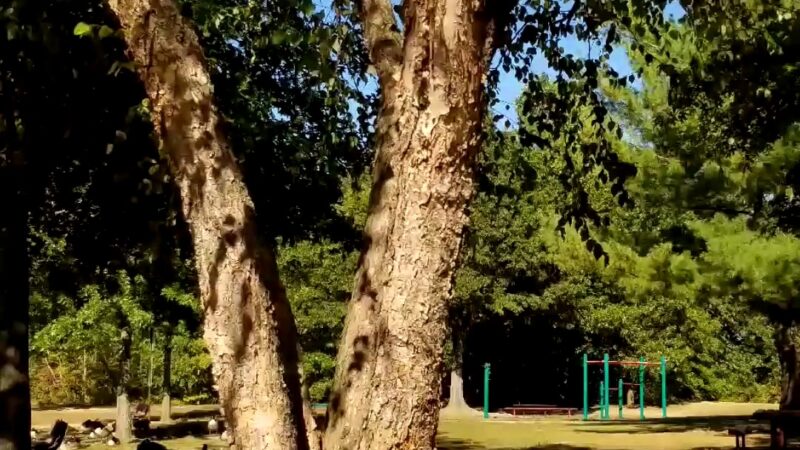 Edward A. Grekoski Park - South River, NJ