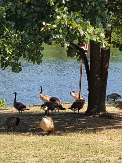 Edward A. Grekoski Park - South River, NJ