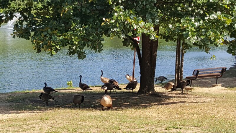 Edward A. Grekoski Park - South River, NJ