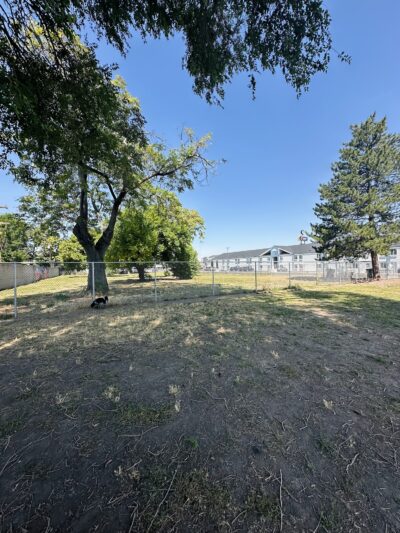 South Salt Lake Dog Park - South Salt Lake, UT