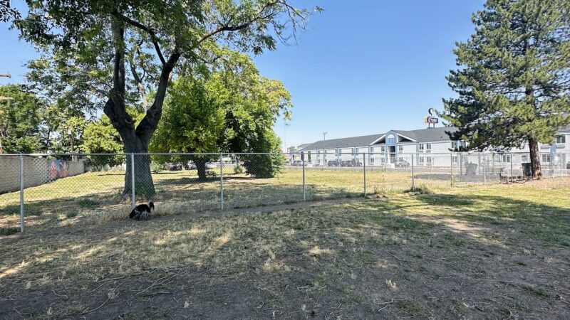 South Salt Lake Dog Park - South Salt Lake, UT