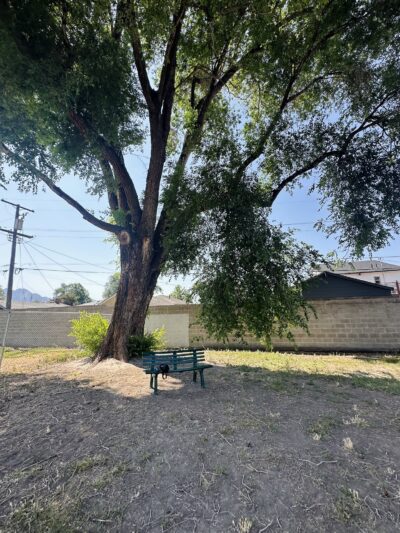 South Salt Lake Dog Park - South Salt Lake, UT