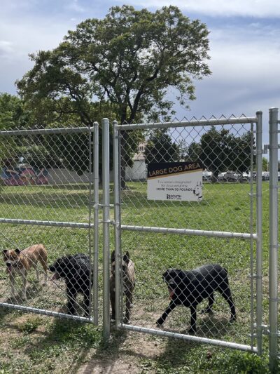 South Salt Lake Dog Park - South Salt Lake, UT