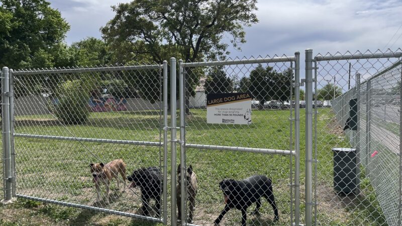 South Salt Lake Dog Park - South Salt Lake, UT
