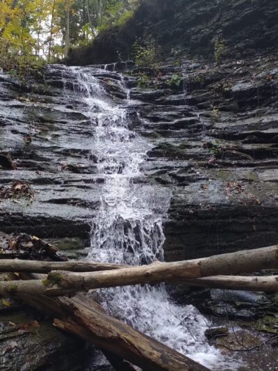 Emery Park - South Wales, NY