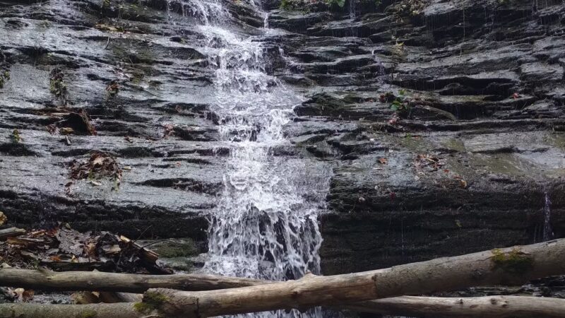 Emery Park - South Wales, NY