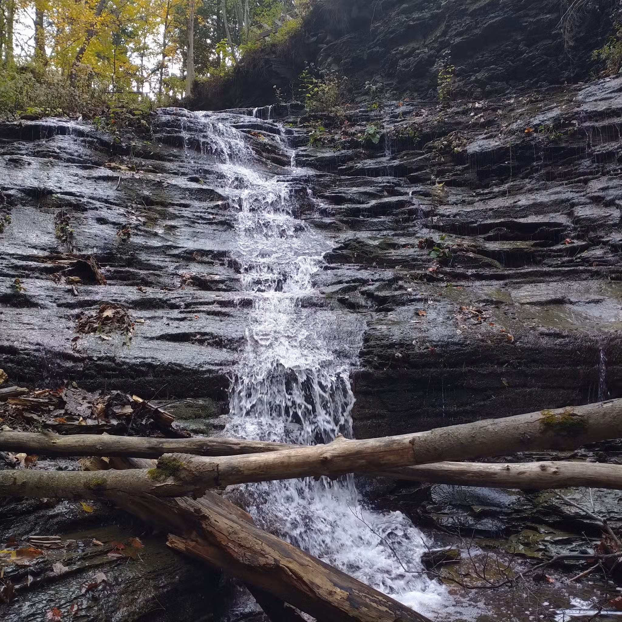 Emery Park - South Wales, NY