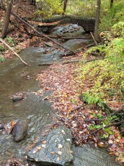 Emery Park - South Wales, NY