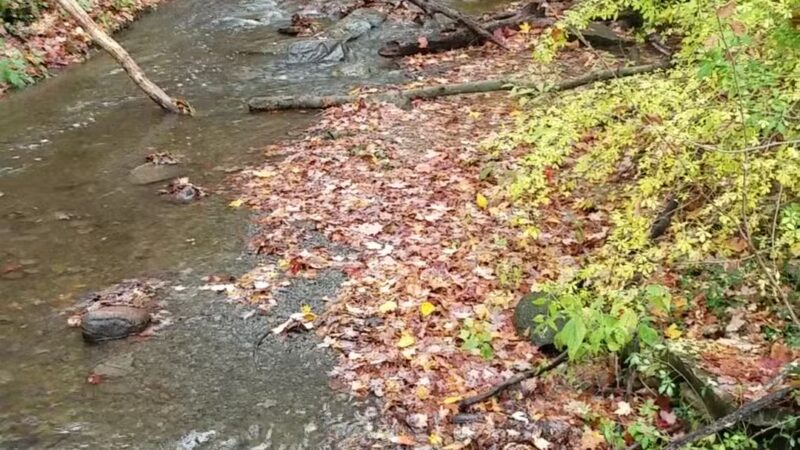 Emery Park - South Wales, NY